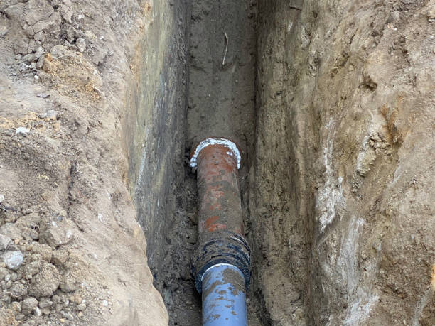 Best Flood restoration services  in Peoria Heights, IL