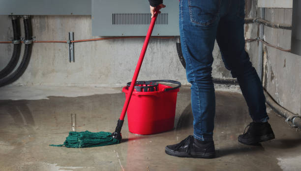 Best Residential water damage restoration  in Peoria Heights, IL