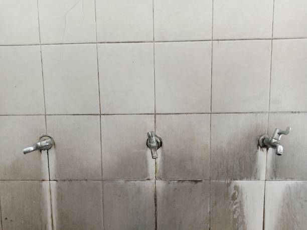 Best Water damage restoration mold remediation  in Peoria Heights, IL