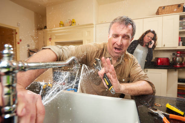 Best Mold removal after water damage  in Peoria Heights, IL
